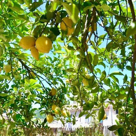 Lemon House Ferienhaus *