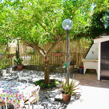 Lemon House *