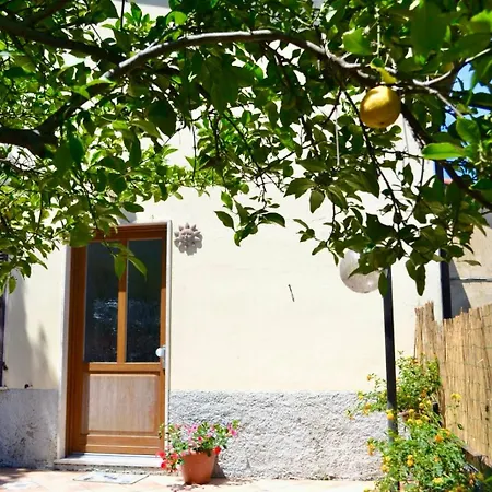 Lemon House Ferienhaus *