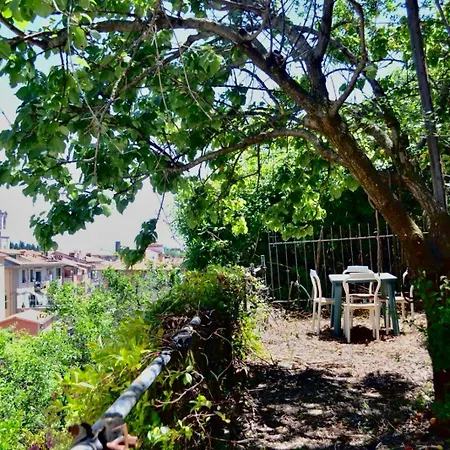 Lemon House *